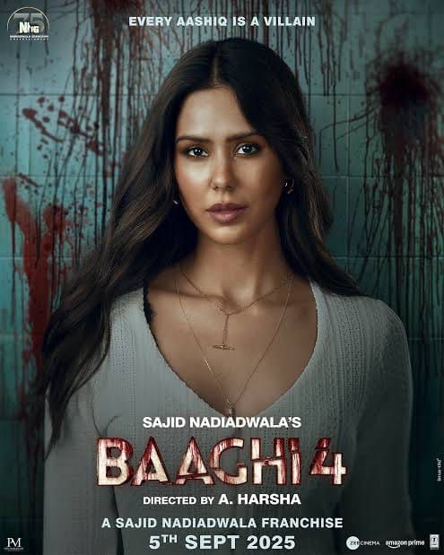 Baaghi 4 poster
