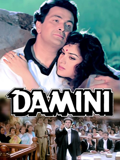 Damini poster