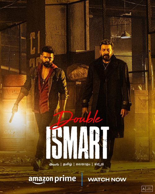 Double Ismart poster