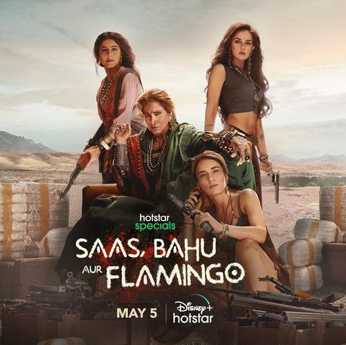 Saas Bahu Aur Flamingo poster