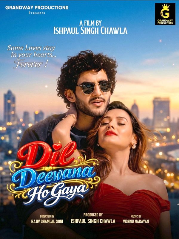 Dil Deewana Ho Gaya poster